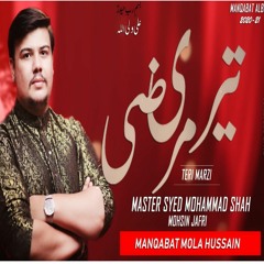 Teri Marzi | Master M Shah | Manqabat 2020