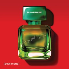 Dancing With A Stranger (Cover Song)