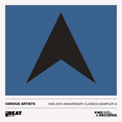 Bassline (Joris Voorn Remix / Ben Sims 25th Anniversary Edit)