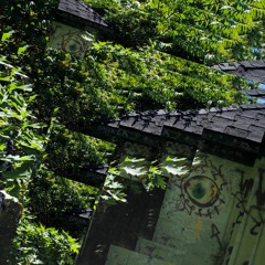 tao