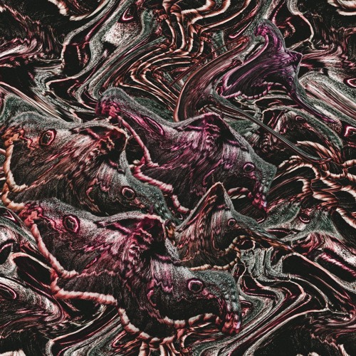 Clearlight - Moth Fur (Album Preview)