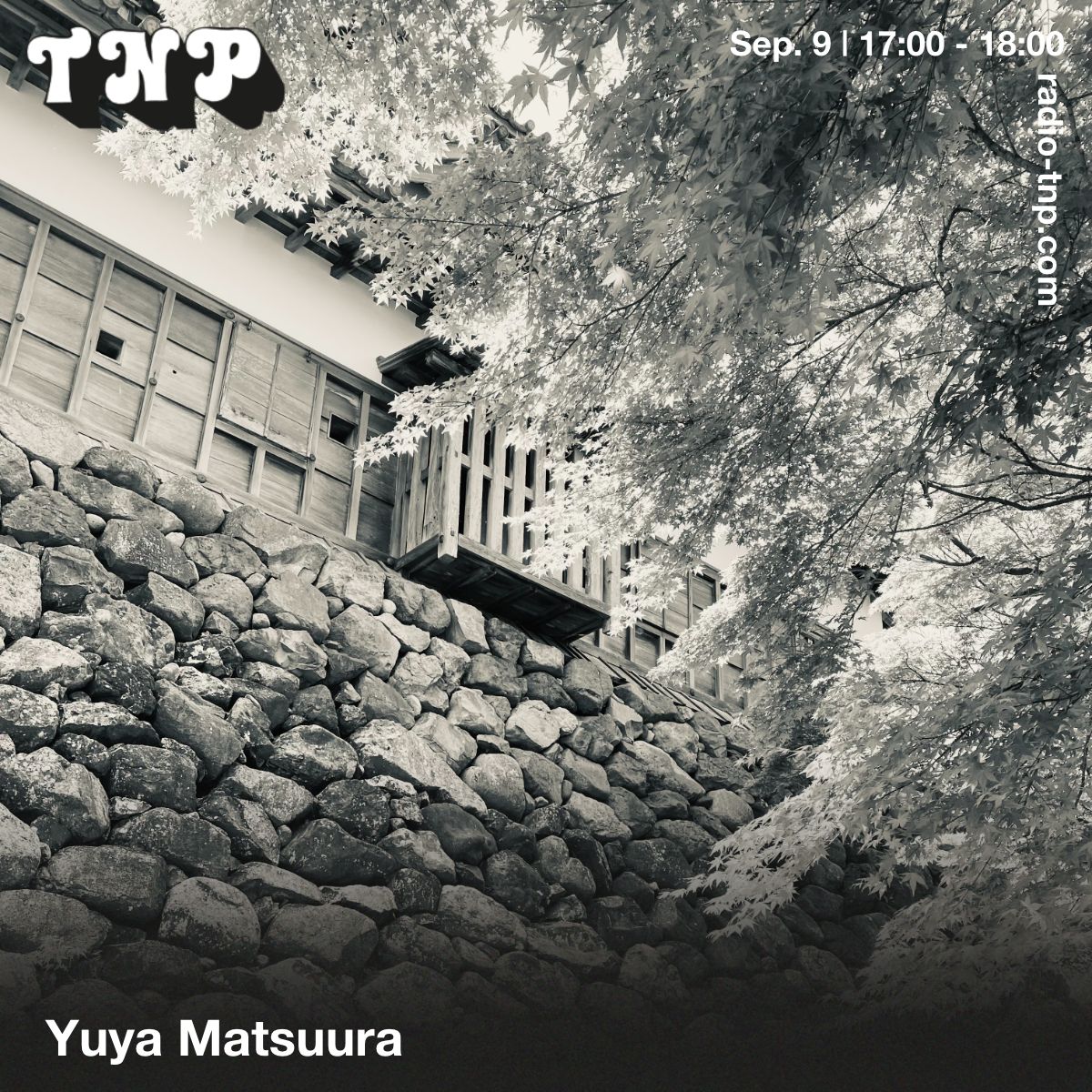 Yuya Matsuura