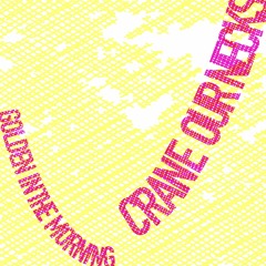 GOLDEN IN THE MORNING CRANE OUR NECKS