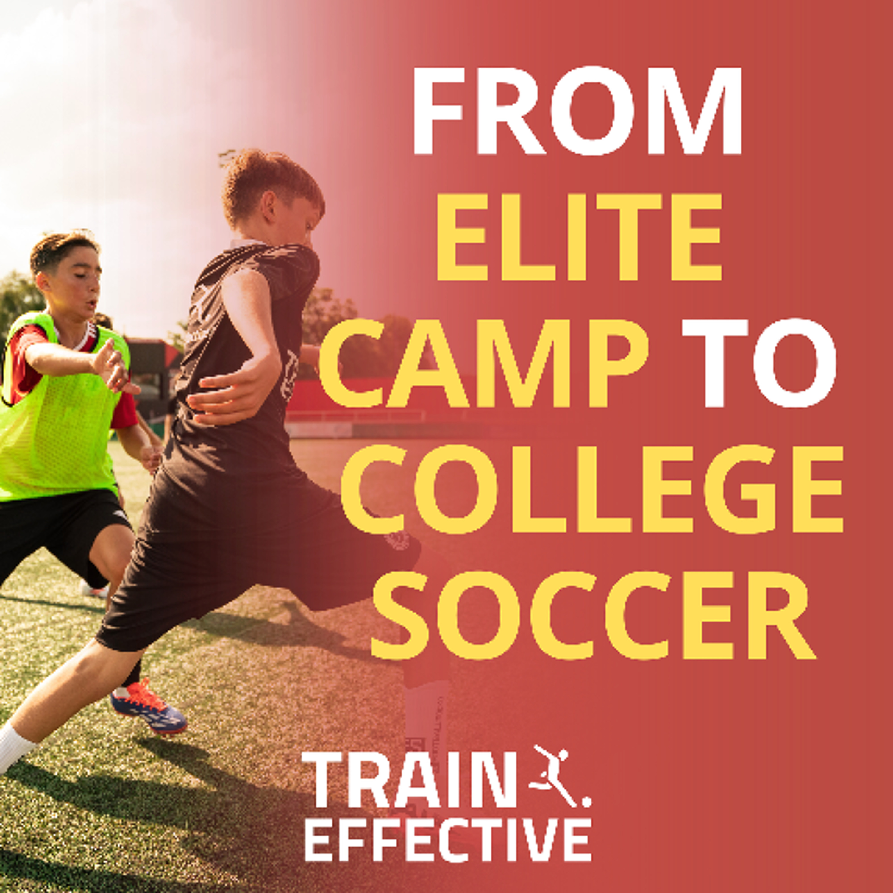 Day 13: 30 Days of Dedication - A New Success Story