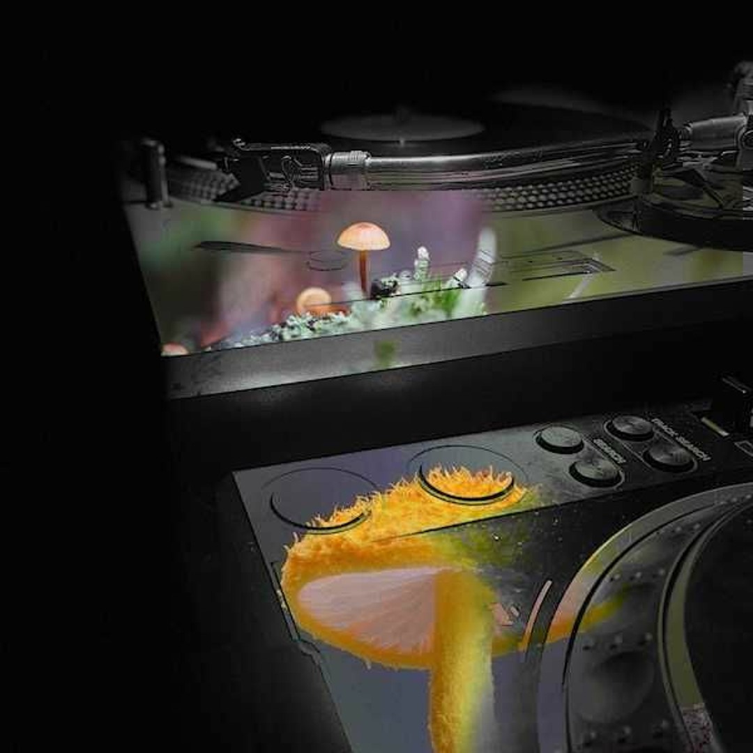 DJ Mark Farina – Mushroom Jazz Volume 5 DJ Mark Farina – Mushroom Jazz Volume Five – CD (Mixed