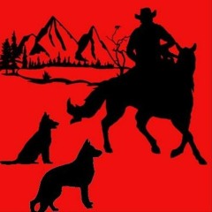 A man lives with horses and pack of dogs on mountains.