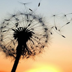 Take a Breath