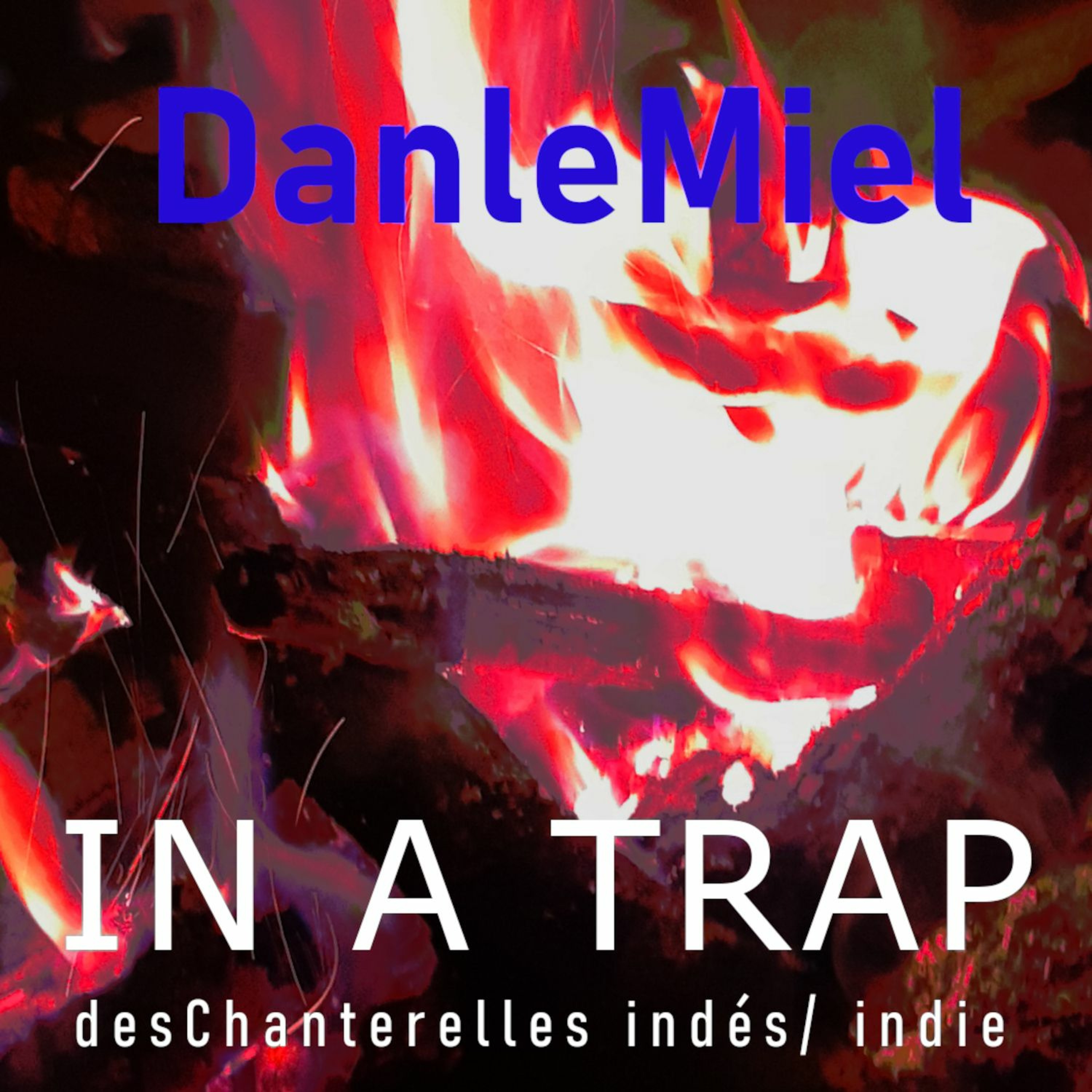 DanleMiel