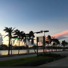 Miami vibes
