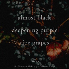 Purple grapes_Naviarhaiku619