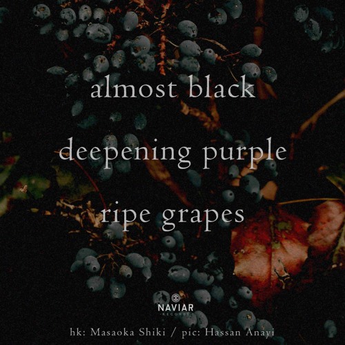Purple grapes_Naviarhaiku619