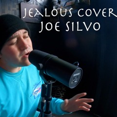 jealous labrinth cover - Joe Silvo