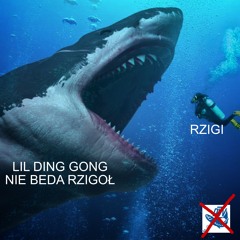 LIL DING DONG - NIE BEDA RZIGOŁ (prod. ding dong)