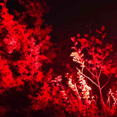 Johan Lenox - Running Running Running [Th13teen Remix]