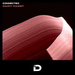Danny Wabbit | Connected | DR014