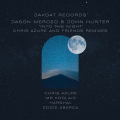 Into The Night Remixes