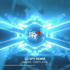 KHALED - C'EST LA VIE DJ SPY REMIX