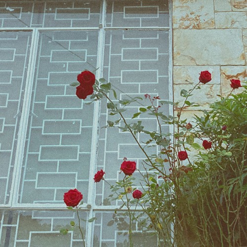 Flores En El Río