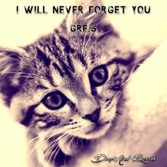 Gre.S - I Will Never Forget You (Original Mix)