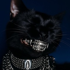 SINANESTESIA (prod.VHXXL)