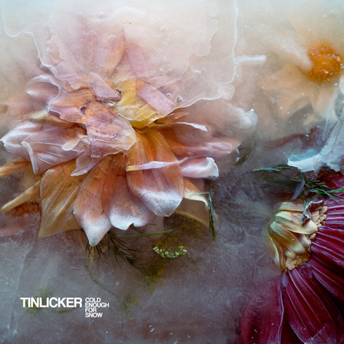 Strawberry (feat.Nathan Nicholson & Metropole Orkest)