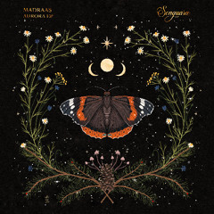 Madraas - Northern Lights (Extended Mix) [Songuara]