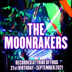 The Moonrakers - Recorded at TRiBE of FRoG 21st Birthday (Room 6 - PsyDub)