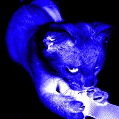 rouge (slowed down)
