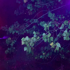 purple glow