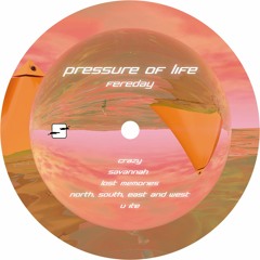 PREMIERE: Fereday - Crazy [Simplexia Records]