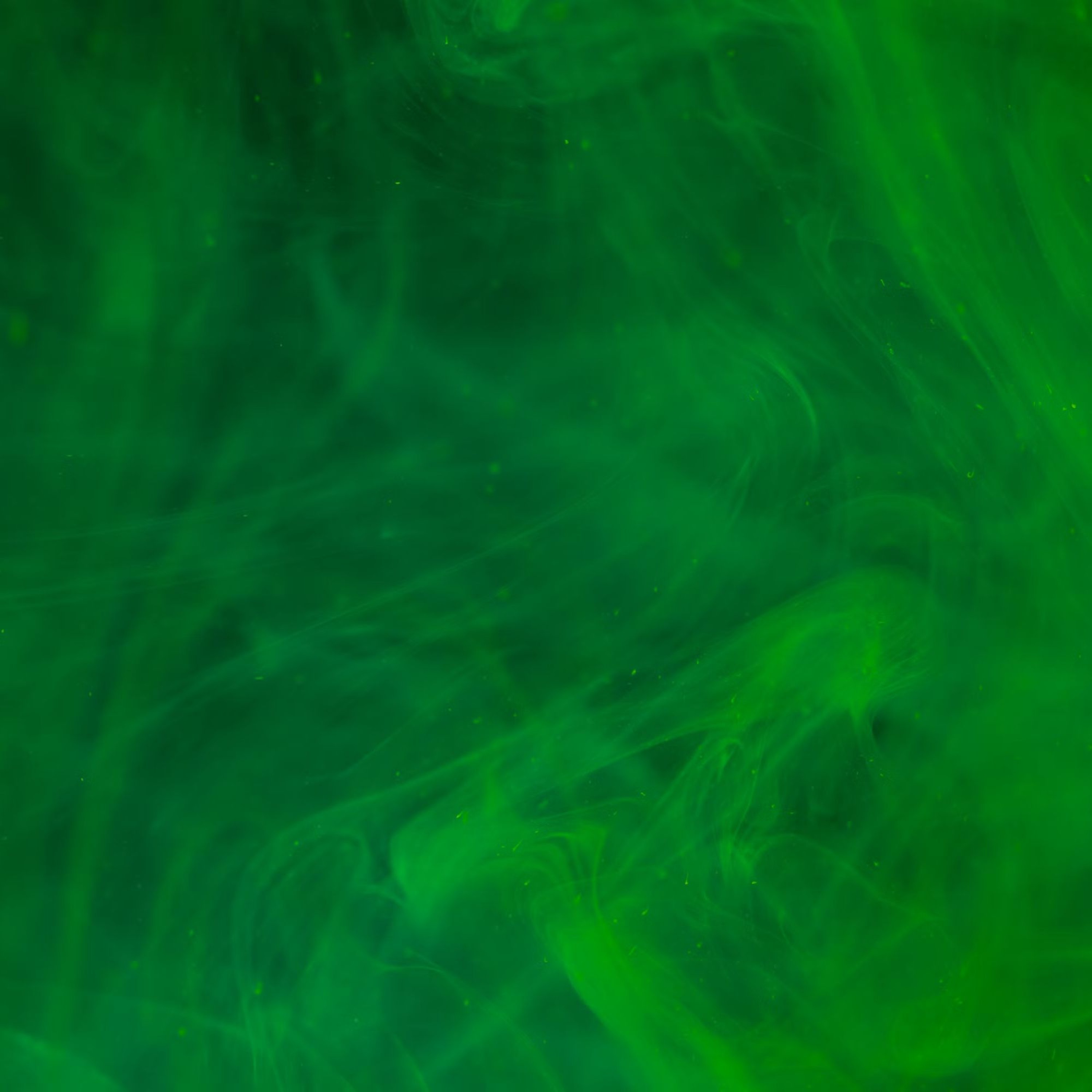 verde episode artwork