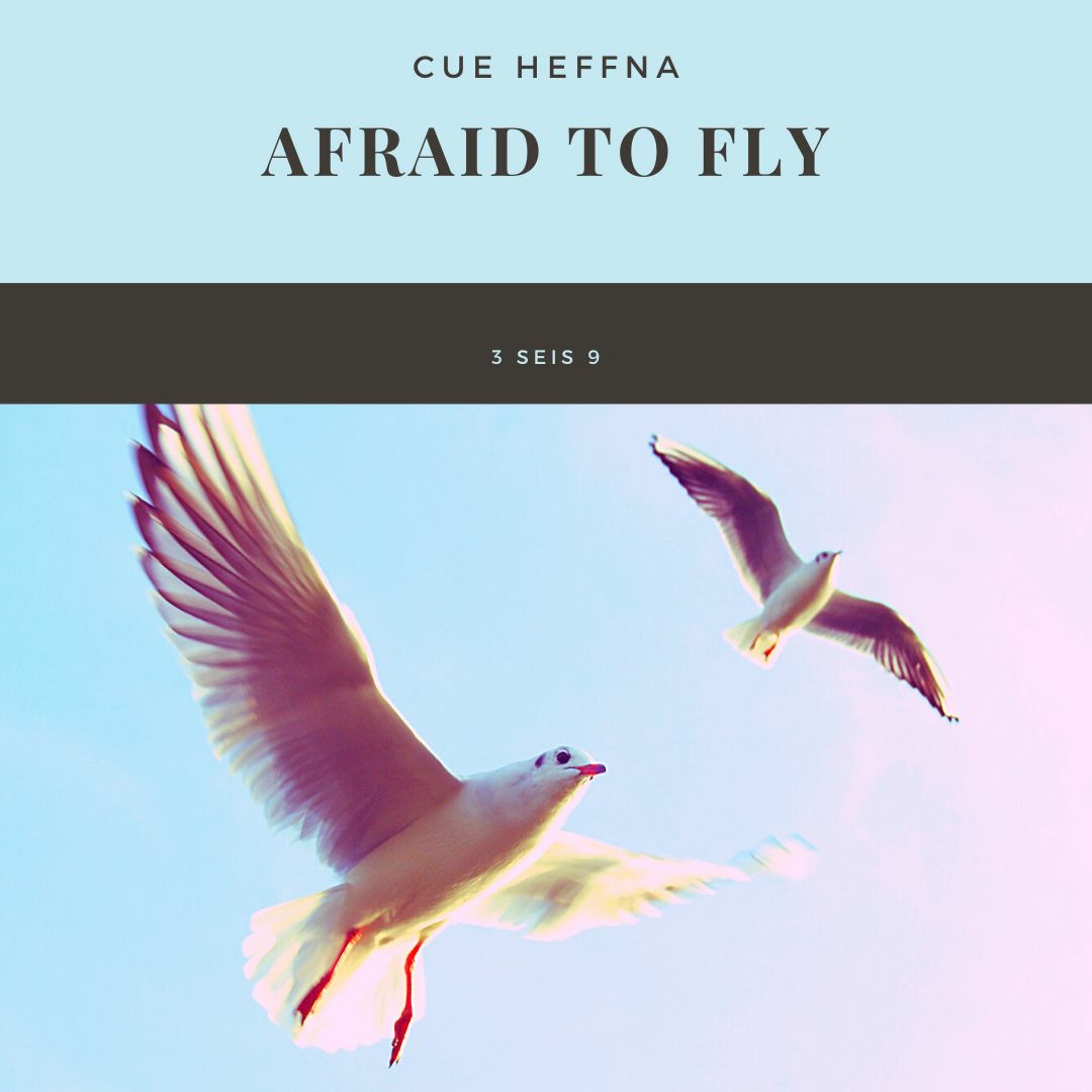 Afraid To Fly episode artwork