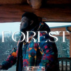 Rod Wave Type Beat - FOREST