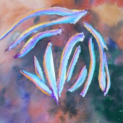 Accents Podcast Series #018 - SOULEIMAN