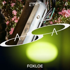 Apartment Acht 10 | Foxloe