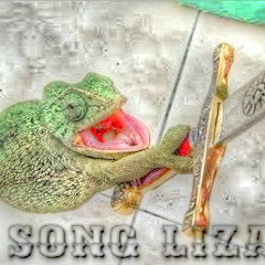My Song Lizard
