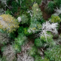 Lantier Set Automne 2024