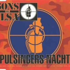 Sons of Ilsa -- Pulsingers Nacht