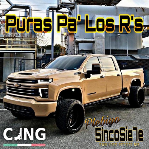 Puras Pa' Los R's -CORRIDOS MIX] 2021 /Plebiyo 5inco Sie7e Razza!