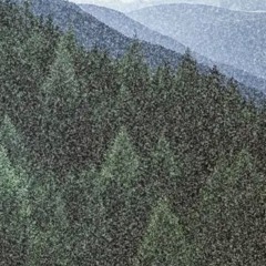 visual snow [prod. willow]