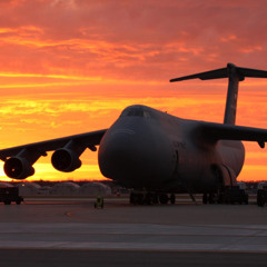 Freedom Bird (Covered)