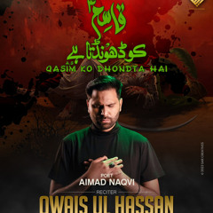 Qasim ko Dhoondta hai| Owais ul Hassan| New Noha 2023| Shahzada Qasim Noha