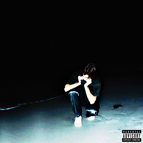 Checkmate (Ft. messai & Sleepovrr)