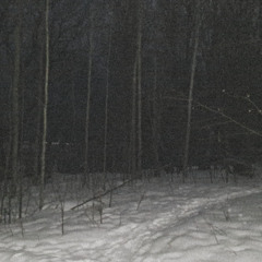 are you sure u want to love me