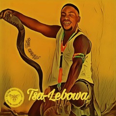 Brazo Wa Africa_African Sax (Kvnyan Remix).mp3
