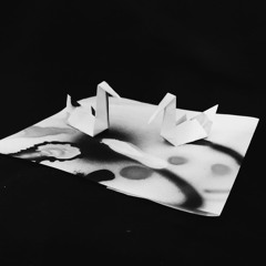 Paper Swans