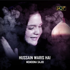 Hussain Waris Hai