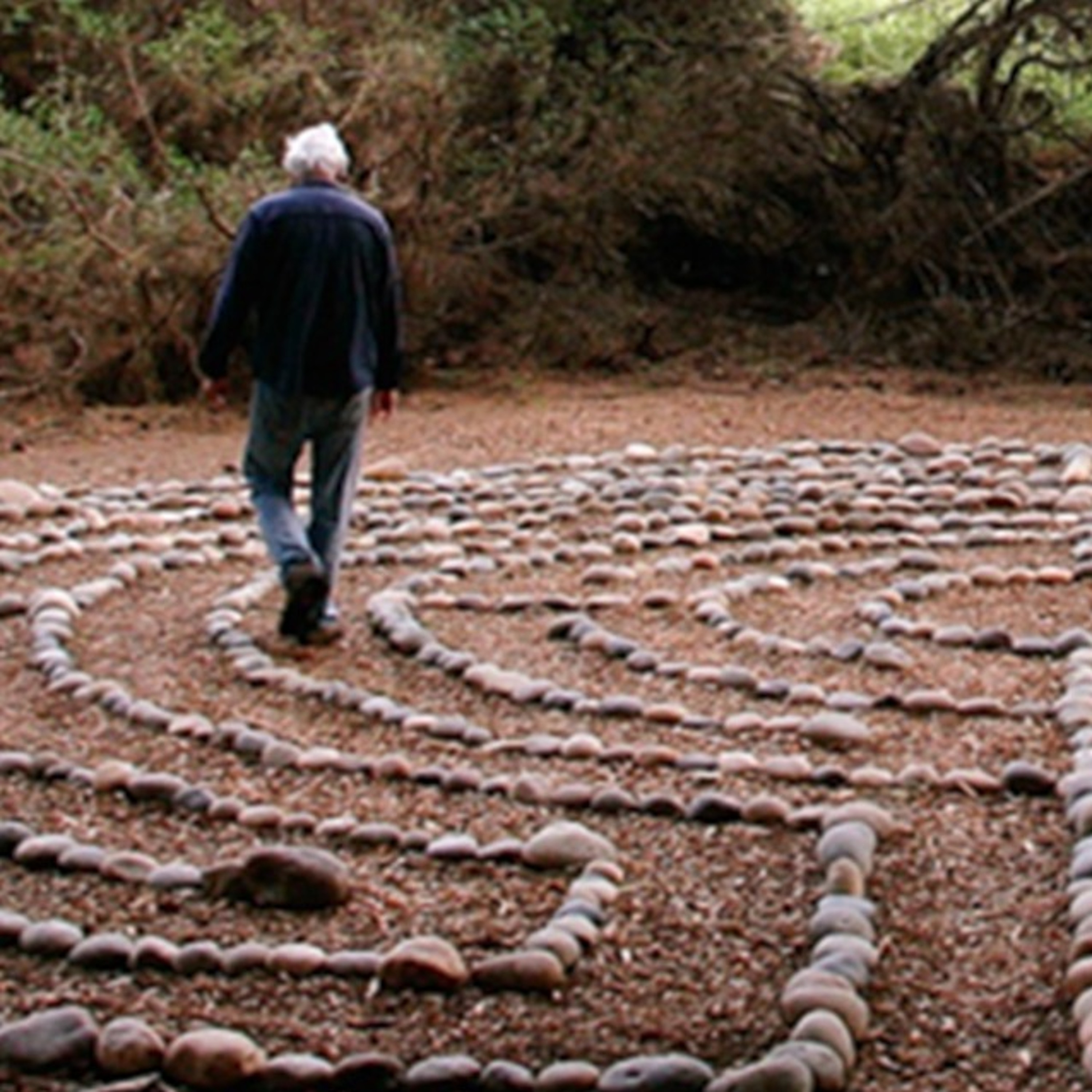 Exploring Nature, Culture and Inner Life
