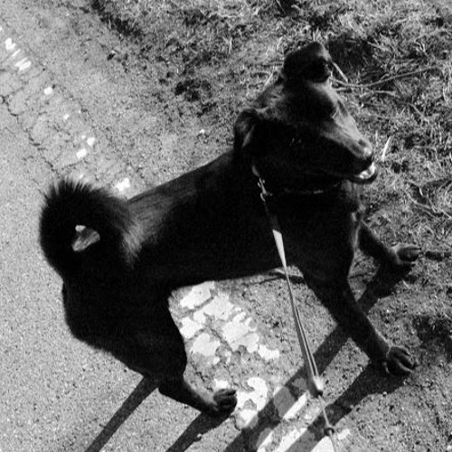 サウンドトラック 黒い犬に名前をつけるcode02 By Kazuhiko Koide