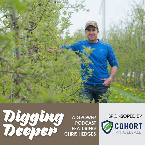 Chris Hedges is optimistic about the 2025 apple crop